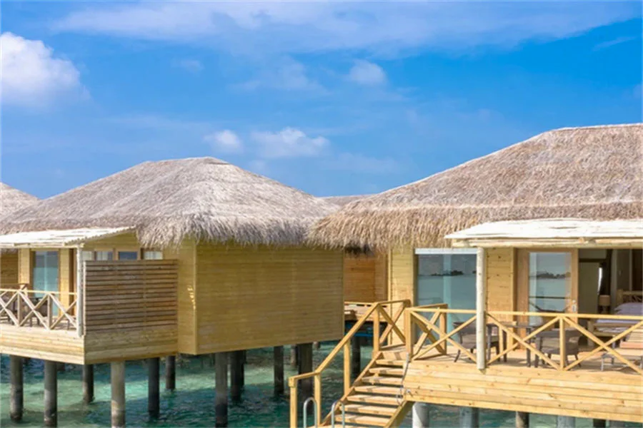 Dolphin Villa-2