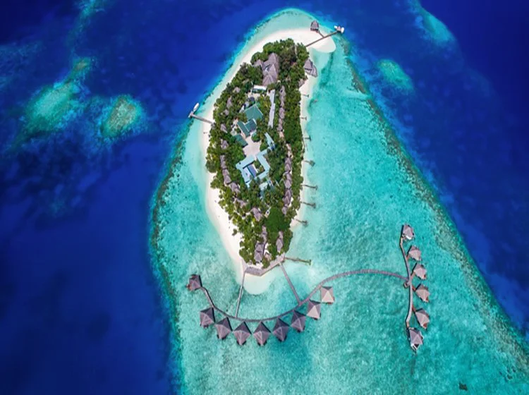 绚丽