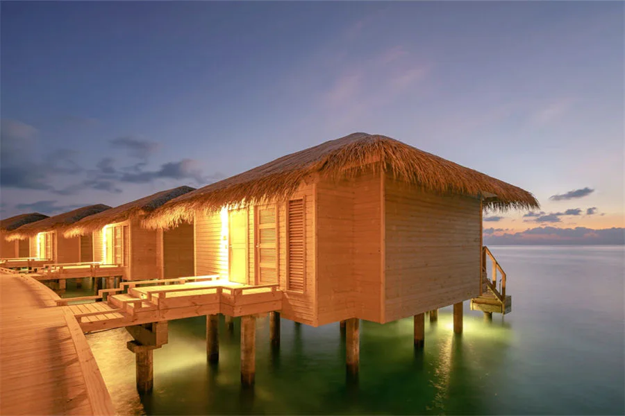 Dolphin Villa-3