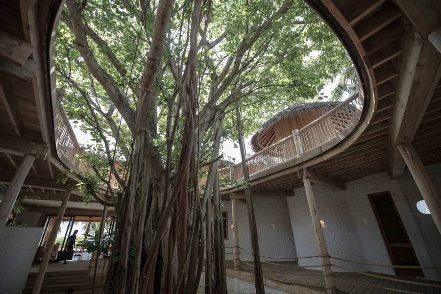 四卧15号泳池住宅（带滑梯）-3